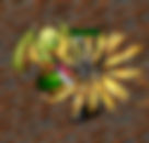 SA.png