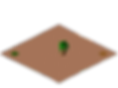 lod5246_edited.png
